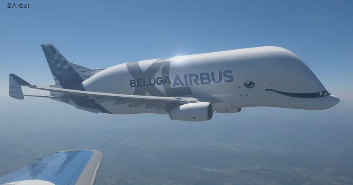Новый самолет Beluga   самый милый и симпатичный в мире. Зачем он такой?