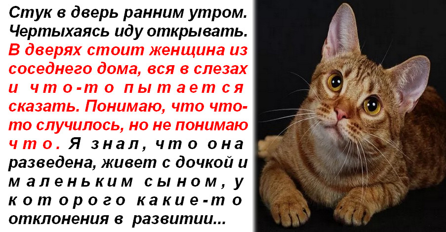 Стук в дверь ранним утром. Стоит женщина из соседнего дома, вся в слезах, пытается что то сказать, машет руками, зовет за собой…