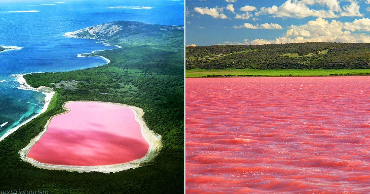 В Австралии есть розовое озеро. Как оно таким стало?