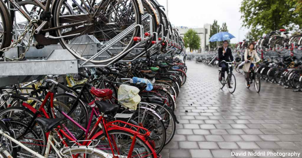 В Нидерландах будут платить тем, кто продаст машину и купит велосипед