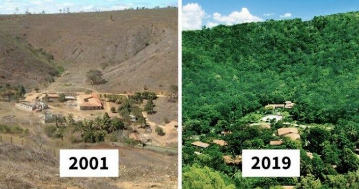 За 20 лет супруги высадили 2 миллиона деревьев