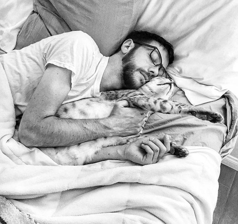 Человек и кошка вместе. Брутальные мужчины с котиками. Мужчина с котиком спят.
