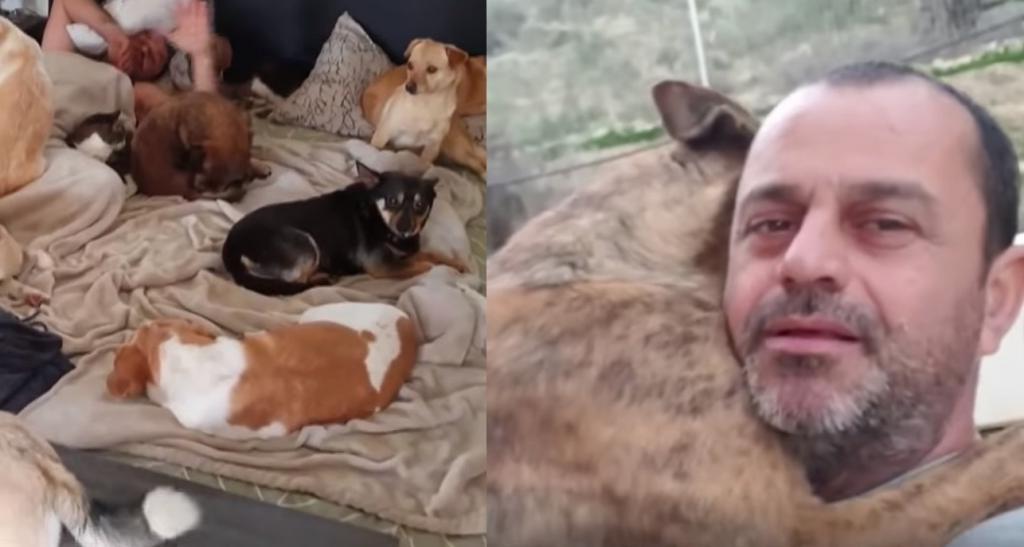 Спустя шесть лет после роковой встречи на местной свалке мужчина спас сотни брошенных собак