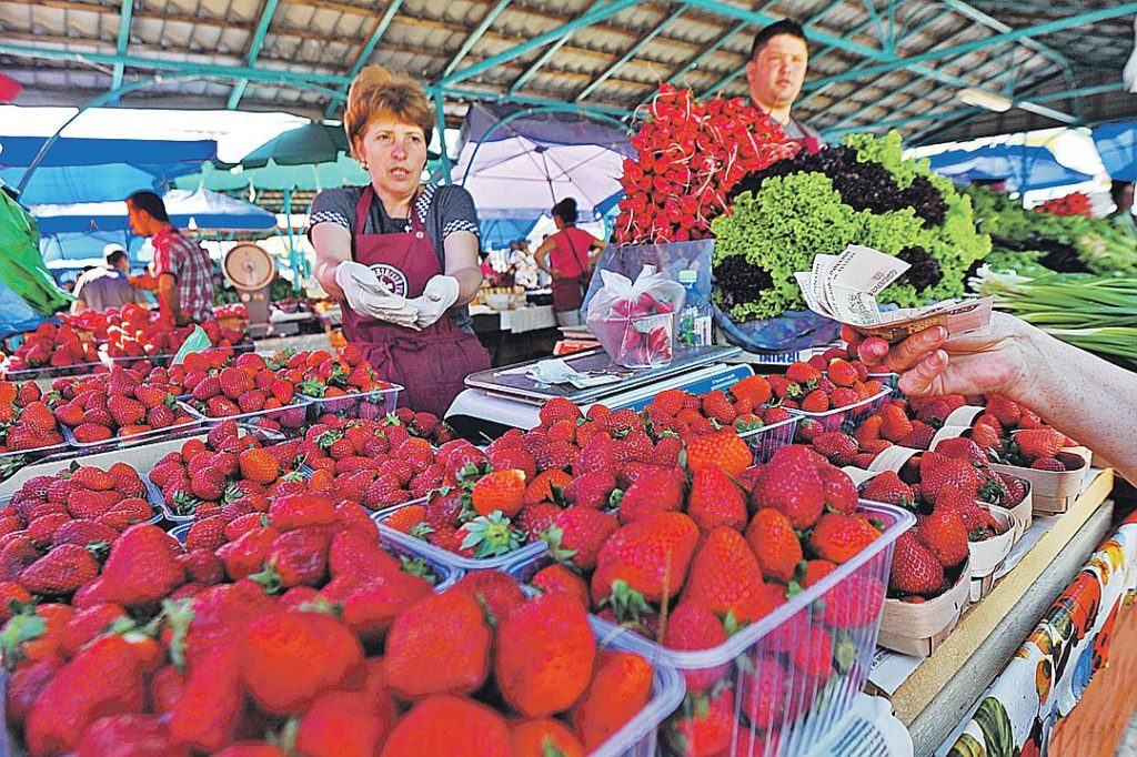 Первый и полезный урожай: как купить клубнику без нитратов