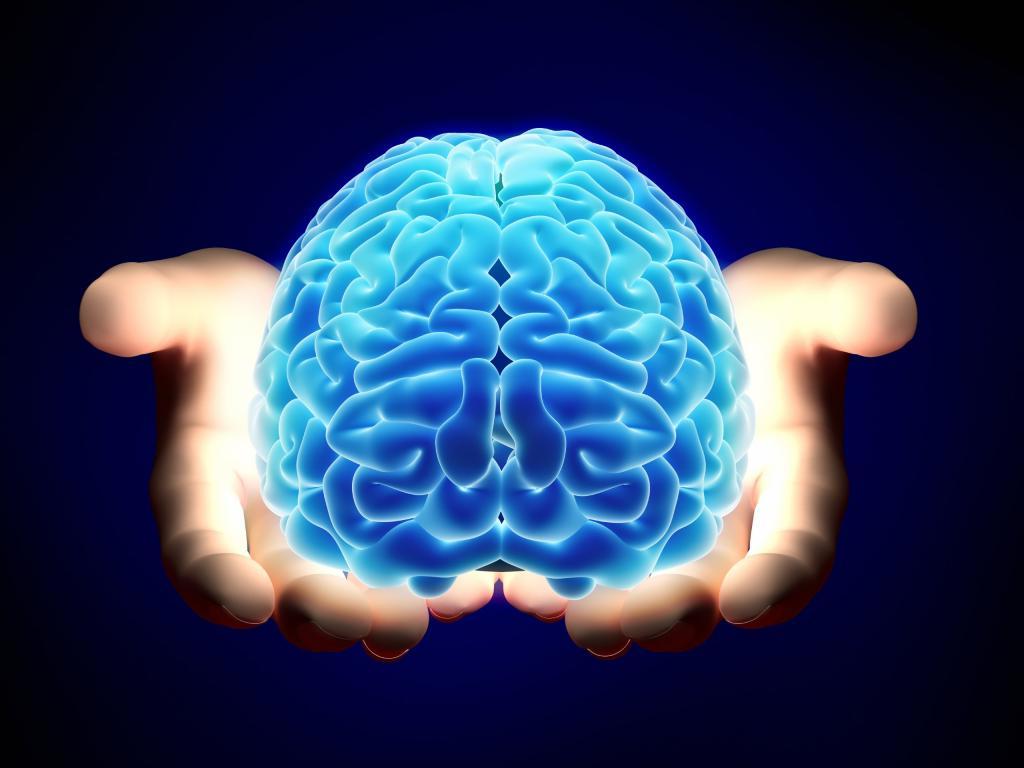 Человек использует мозг лишь на 10 % и другие распространенные мифы о мозге