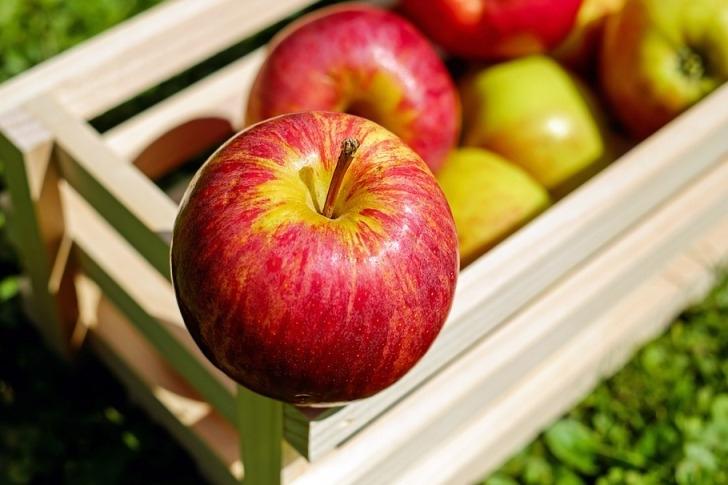 Несколько исторических фактов о яблоках: история и традиции