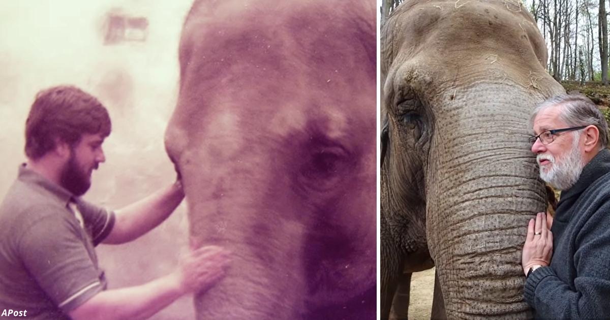 Мужчина нашёл слона, за которым ухаживал 32 года назад, — и слон его узнал