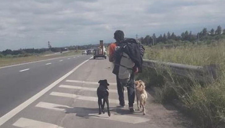 Во время путешествия друзья нашли двух бездомных собак. Ни один автобус не хотел брать их, поэтому пришлось отправиться домой пешком