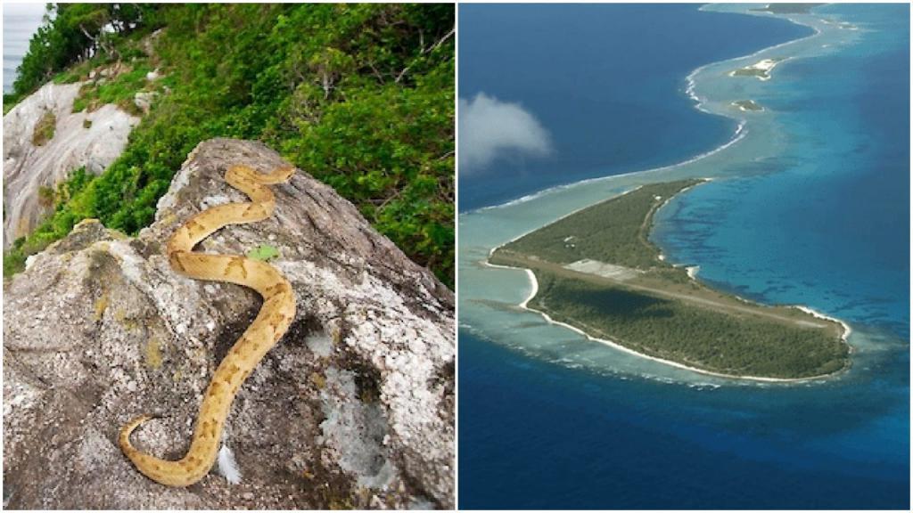 Лучше обходить стороной: 10 опасных островов в мире, которые не стоит посещать туристам