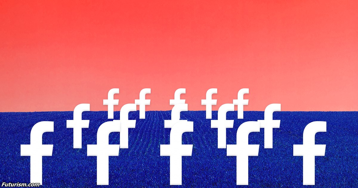 В течение 50 лет Facebook станет похожим на цифровое кладбище. Исследование