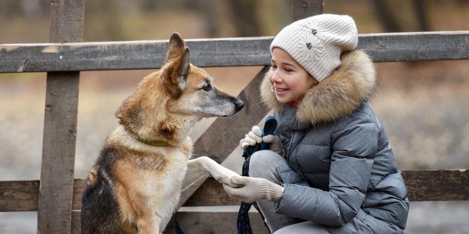 Мы с тобой одной крови: школьница из Подмосковья понимает язык животных