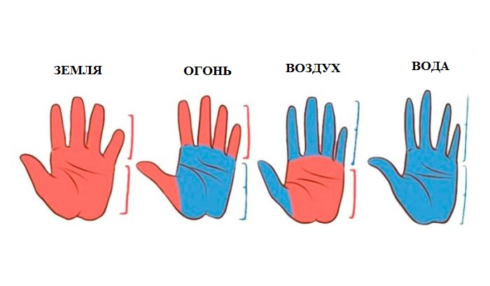Гадание по руке: форма ладони и пальцев поможет определить вашу личность