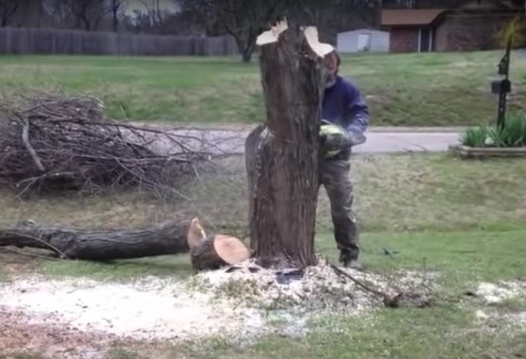 Соседям понравилось: мужчина спилил возле дома старое дерево, а пень от него превратил в произведение искусства