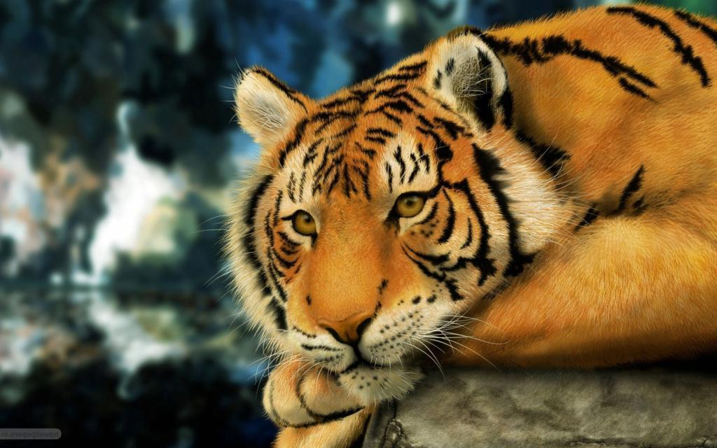 Почему тигры оранжевого цвета: они охотятся на тех, кто видит их зелеными