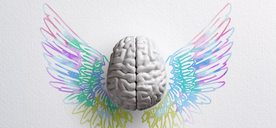 Уникальный мозг: 7 советов, как легко научиться выглядеть интеллектуалом