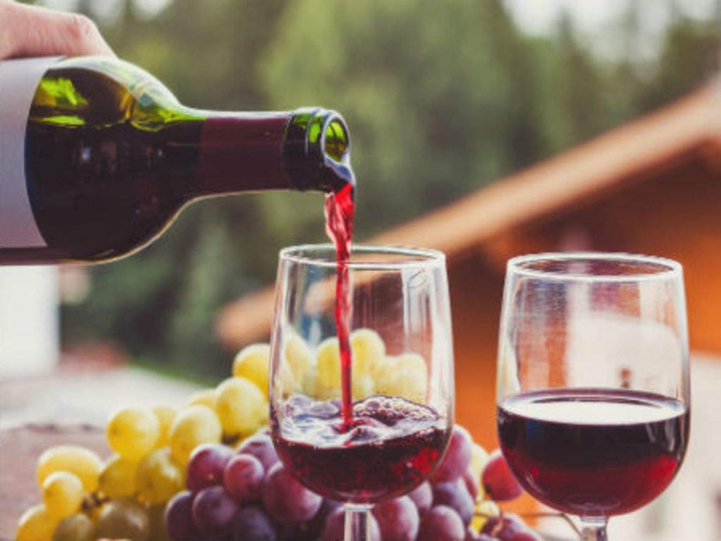 Исследователи утверждают: бокал вина в пожилом возрасте важнее физической активности