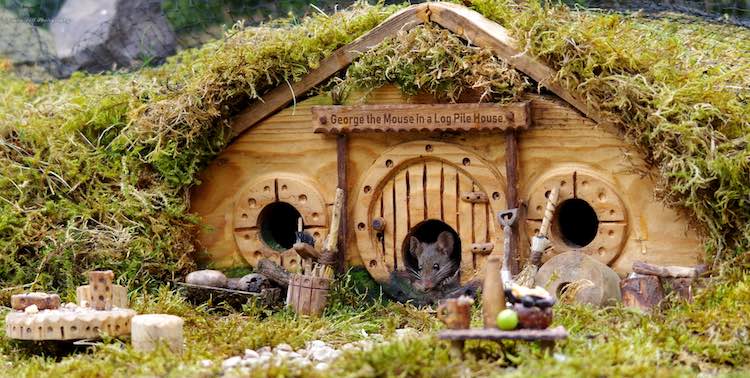 Мужчина решил защитить мышей от кошек и построил им маленькую деревню у себя в саду