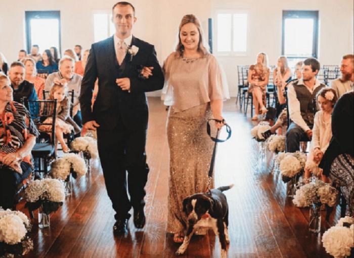 Невесте пришла в голову отличная идея, как удивить гостей на свадьбе, и она привела на церемонию собак