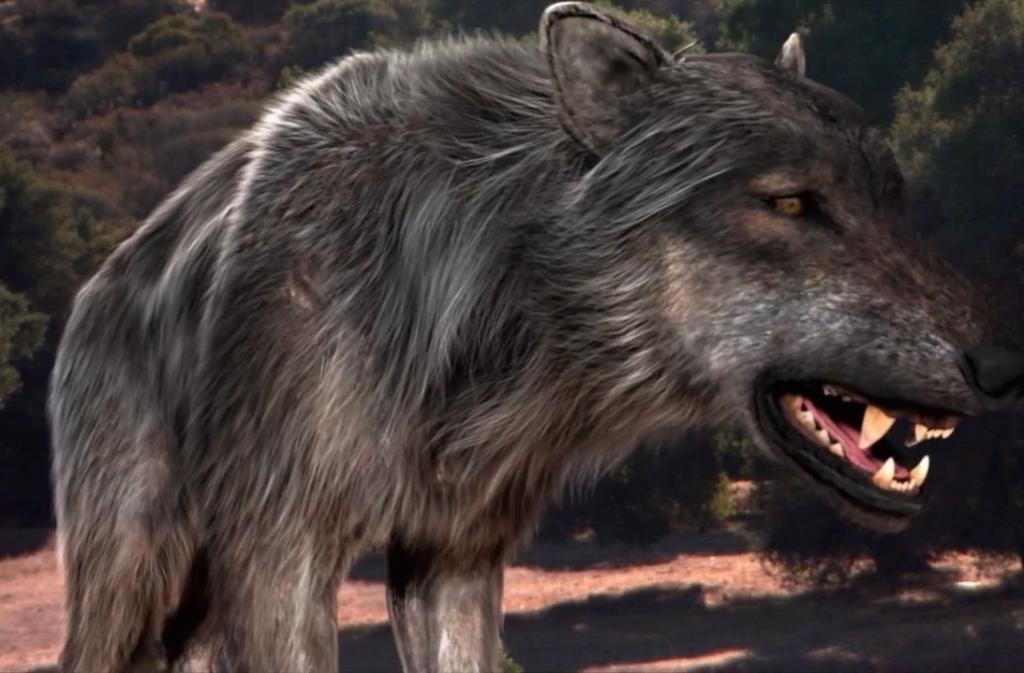В Якутии найдена голова волка, жившего 40 тысяч лет назад