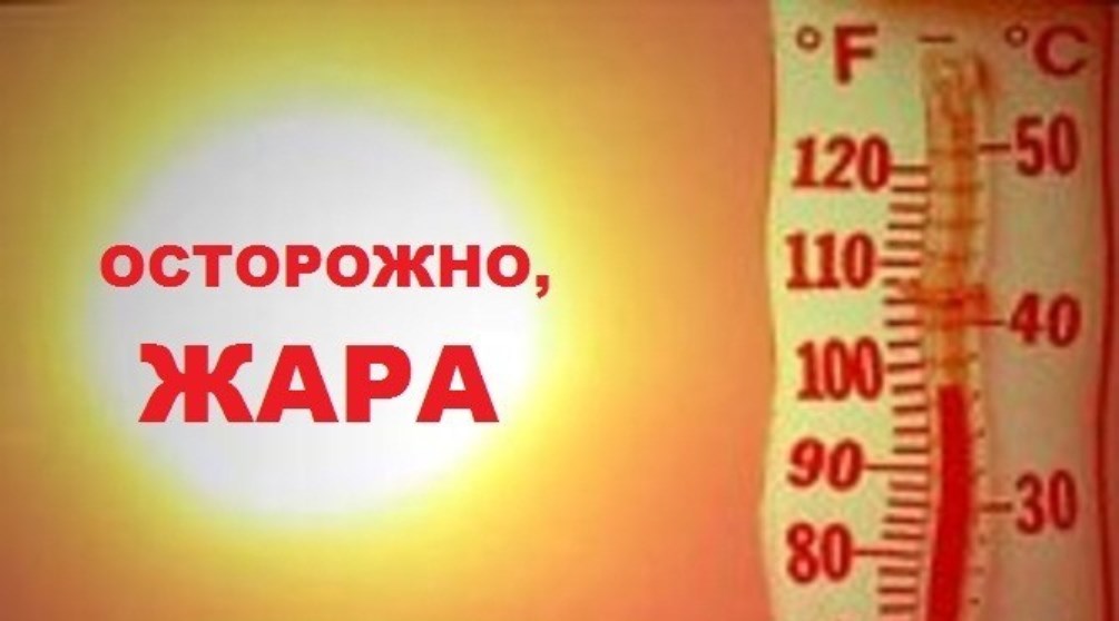 Летняя жара: что можно и что нельзя делать, чтобы избежать перегрева