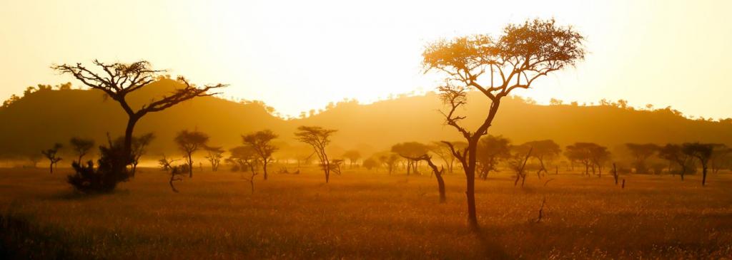 Африка ждет: незабываемые места для отпуска на горячем континенте