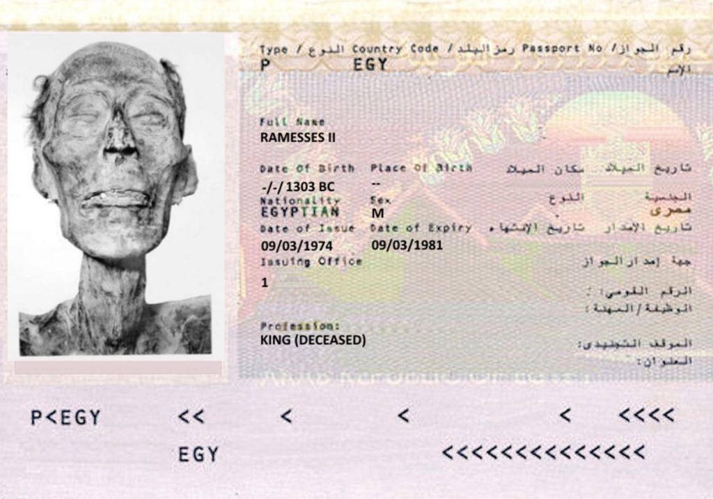С какой целью прибыли в страну? Почему мумии фараона выдавали паспорт