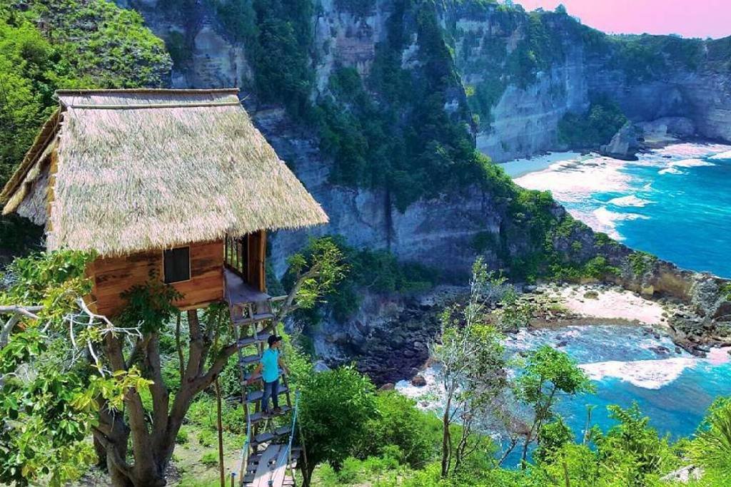 На Бали можно остановиться в домике на дереве и видом на море всего за 