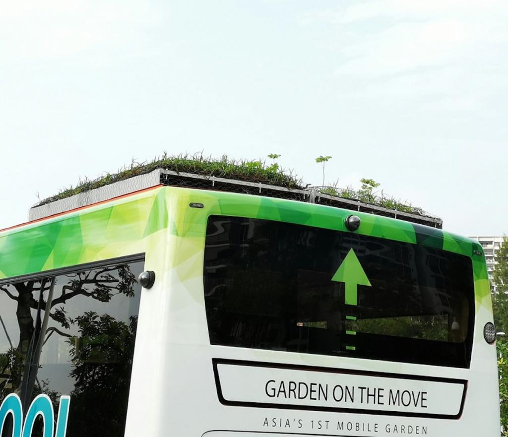 Сад на крыше: в Сингапуре тестируют автобусы с травой на крышах, чтобы охладить воздух в салоне без кондиционера