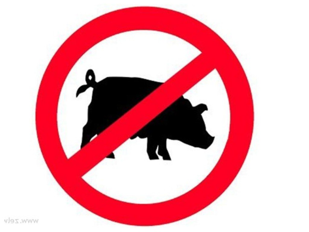 Почему евреи и мусульмане не едят свинину: настоящая причина не имеет никакого отношения к вере