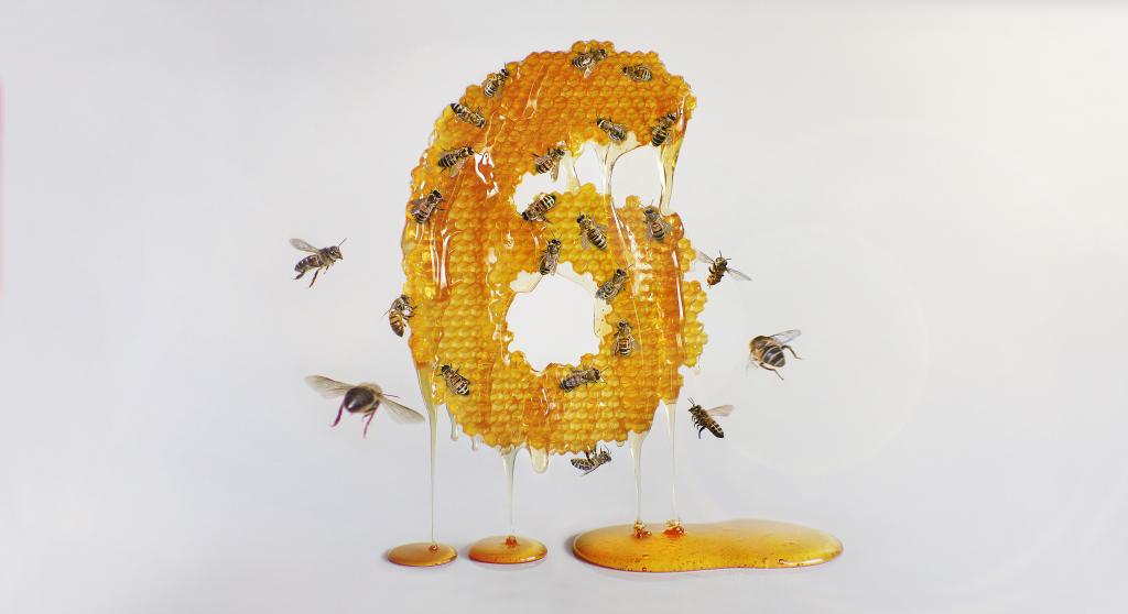 Цифра 3 в форме паутины, а 6 - в виде сот, усеянных пчелами: необычный фотопроект графического дизайнера