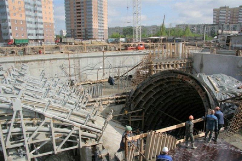 «Живые» плавуны и другие необычные находки, обнаруженные при строительстве метро в Санкт-Петербурге