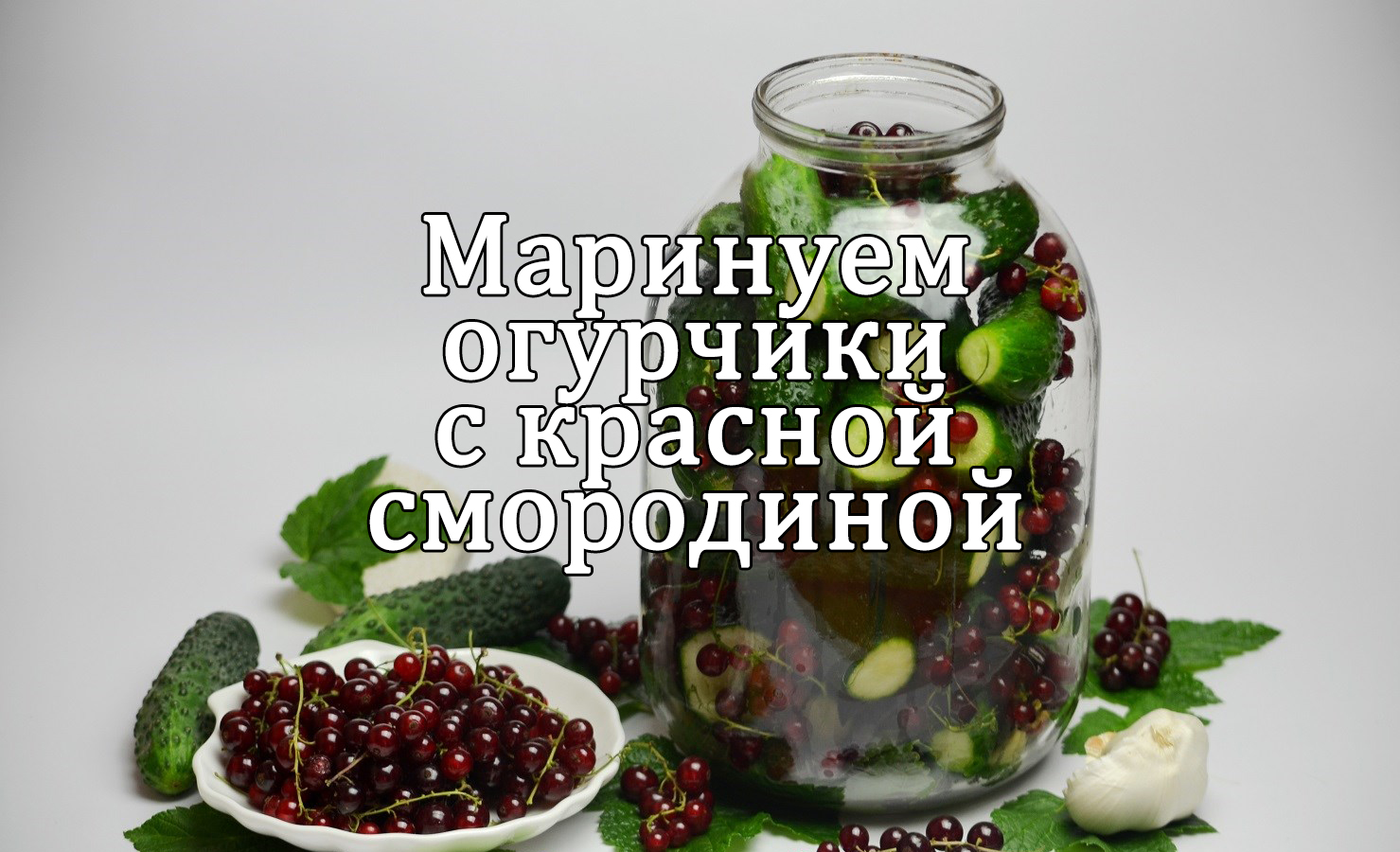 День маринованных огурцов 14