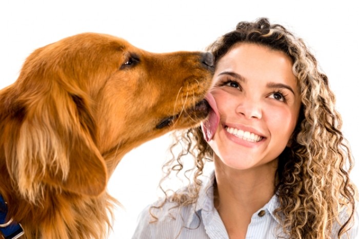 Исследования показали, что человек предпочел бы поцеловать собаку, а не своего партнера