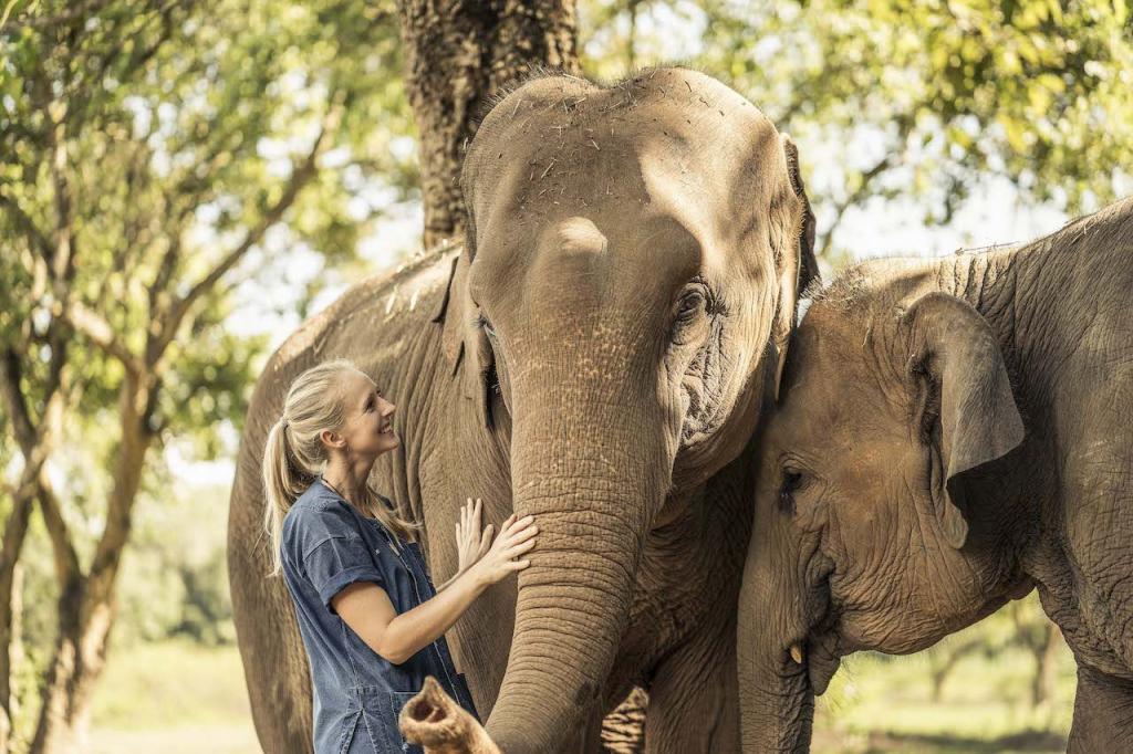 Погладить слона, заняться йогой с фламинго: в каких отелях можно жить бок о бок с животными