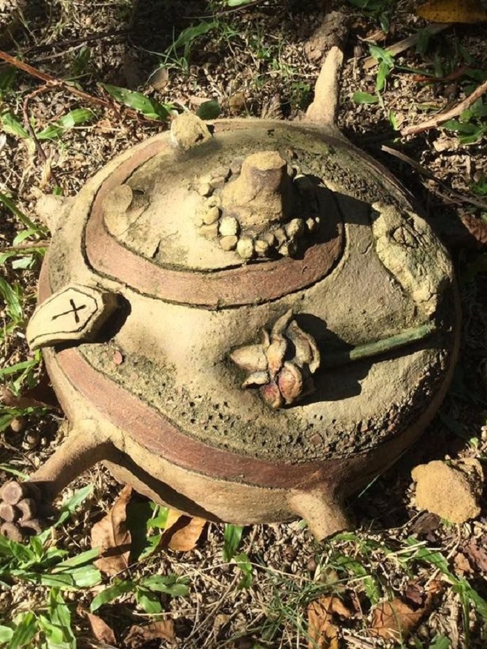 Женщина нашла странный шар в саду: все советовали немедленно избавиться от него