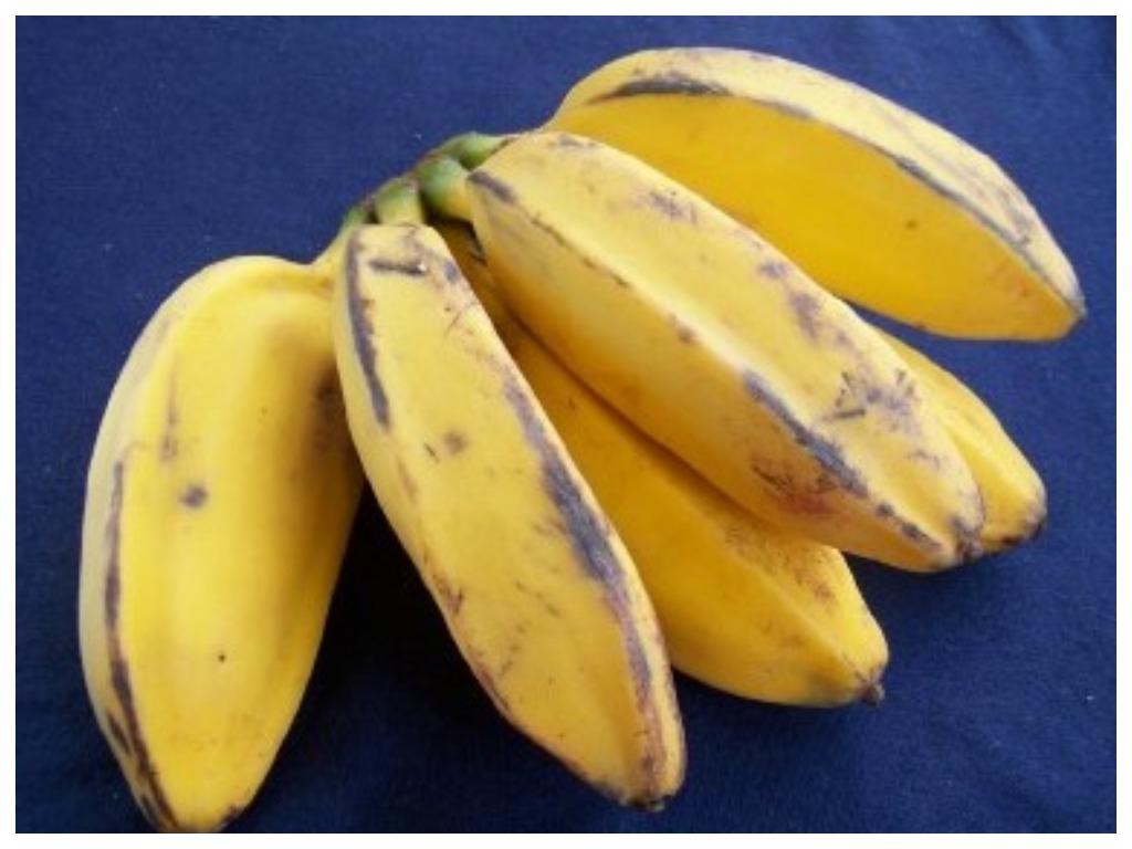 Мало кто знает, на что способны бананы, которые мы считаем 