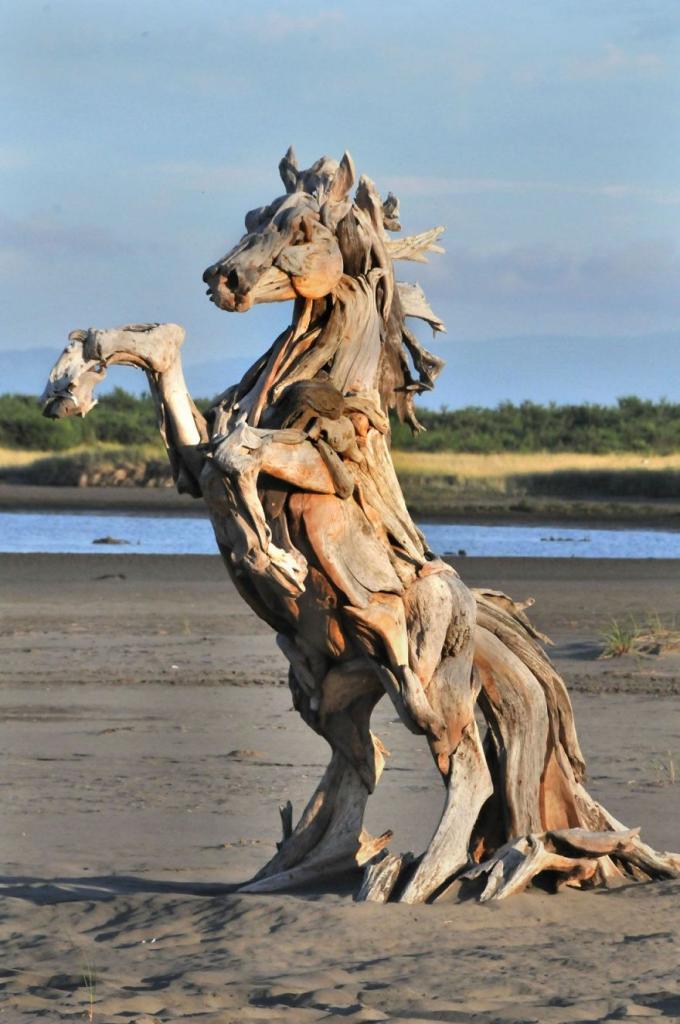 Художник создает удивительные скульптуры из коряг, принесенных океаном на пляж: фото