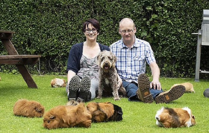 Женщина пообещала мужу, что будет держать много домашних животных дома. Вскоре ее слова непреднамеренно сбылись
