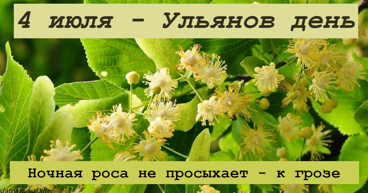 4 июля какая. Ульянов день (Липов цвет). 4 Июля день. 4 Июля праздник Ульянов день. 4 Июля народный календарь.