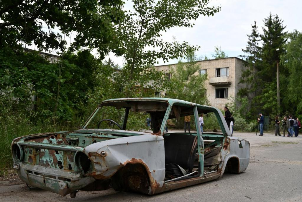 Размножение лошадей Пржевальского: что происходит в Чернобыле после катастрофы