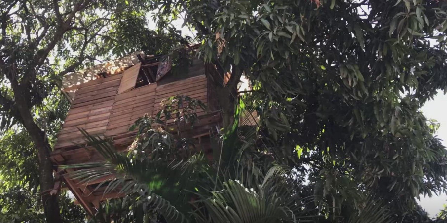 В детстве мужчина хотел иметь свой дом на дереве. Через много лет житель Сальвадора осуществил свою мечту