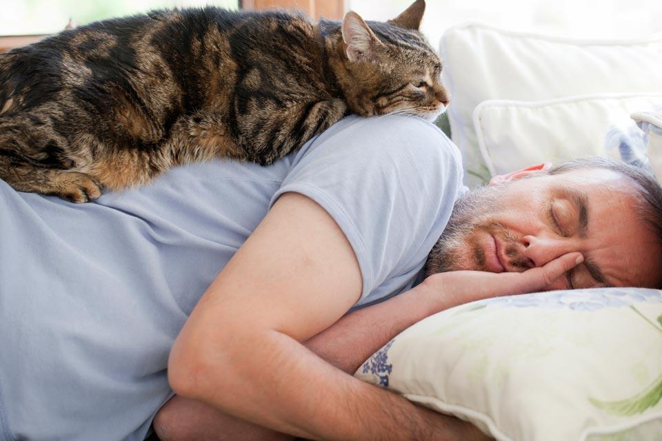 Разрешаете кошке спать в вашей постели? А вот и зря. Причины, почему этого нельзя делать