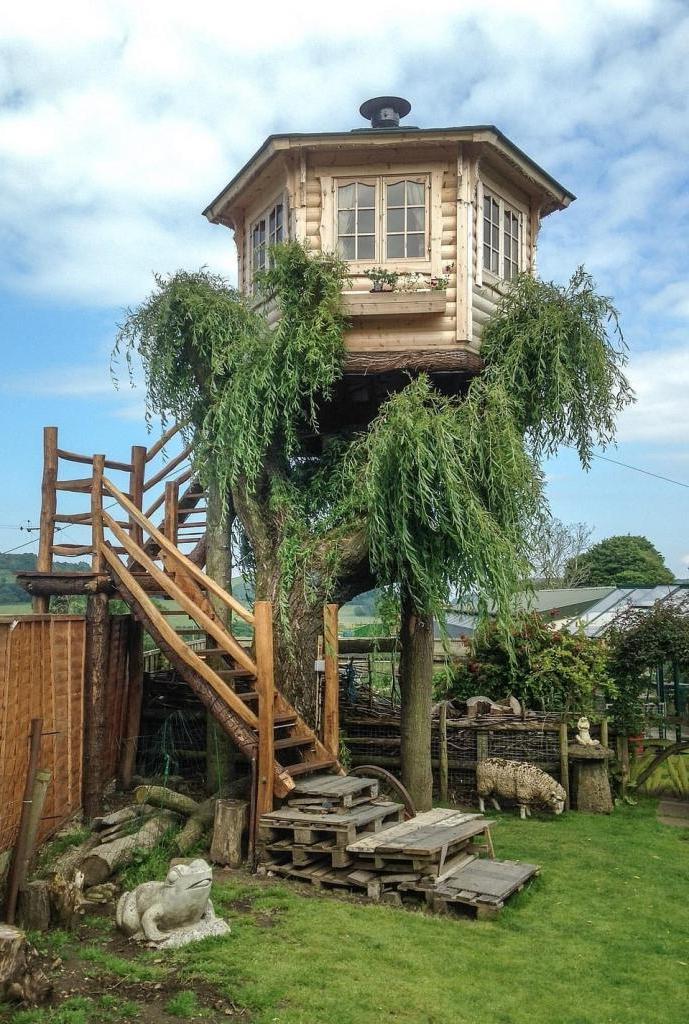 Мужчина построил такой домик на дереве, что ему позавидует каждый (фото)