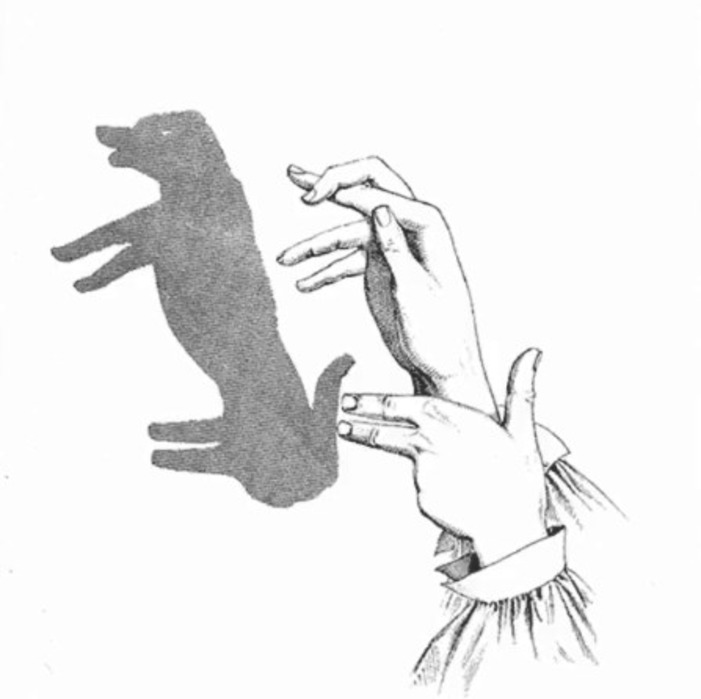 Фигурки из рук. Теневые фигуры пальцами. Теневые фигуры руками для детей. Тени животных руками. Фигуры животных из пальцев.