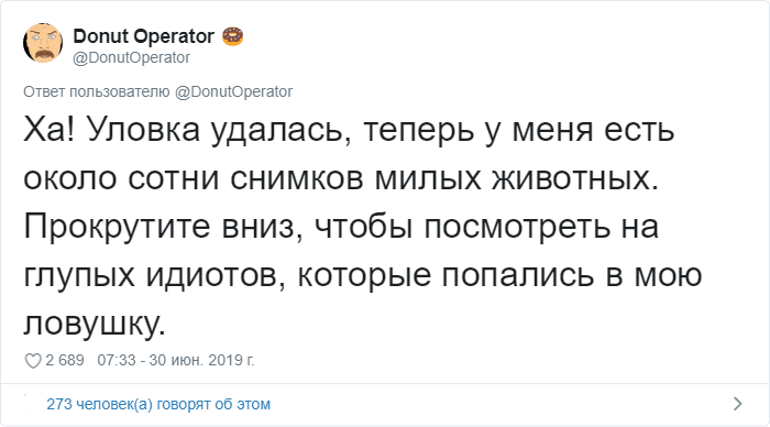 Он запустил самый МИЛЫЙ флешмоб, который только можно себе представить!