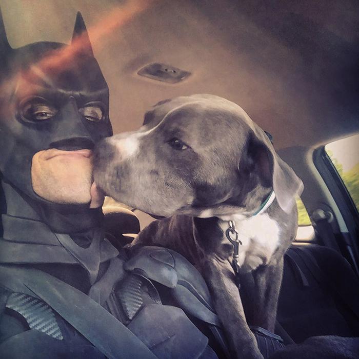 Мужчина в костюме Бэтмена спасает бездомных животных, а затем находит для них достойных хозяев
