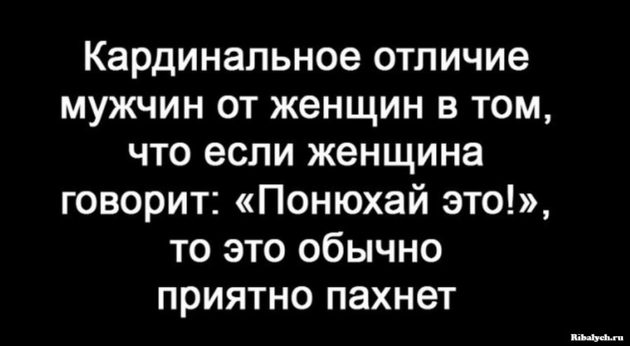 44 позитивных картинок для поднятия настроения