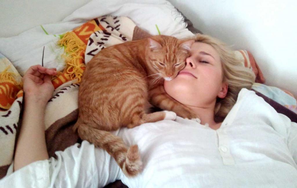 Где кот спит, там и болит? Почему наши кошки так любят спят на нас: расшифровываем позы четвероногих питомцев