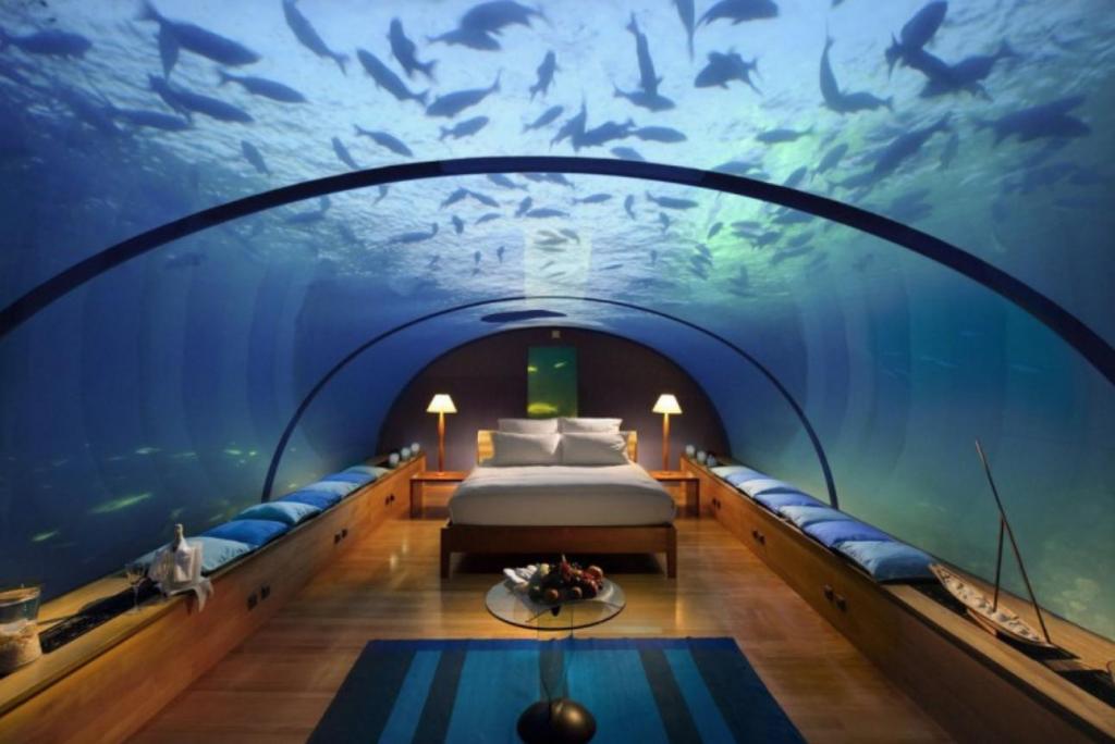 3 миллиона за ночь в отеле с акулами: открылась очень необычная подводная гостиница
