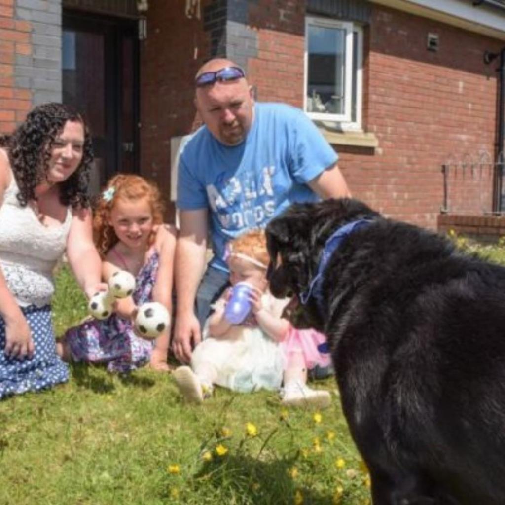 Исчезновение собаки помогло ее владельцу найти любовь в Сети и создать семью
